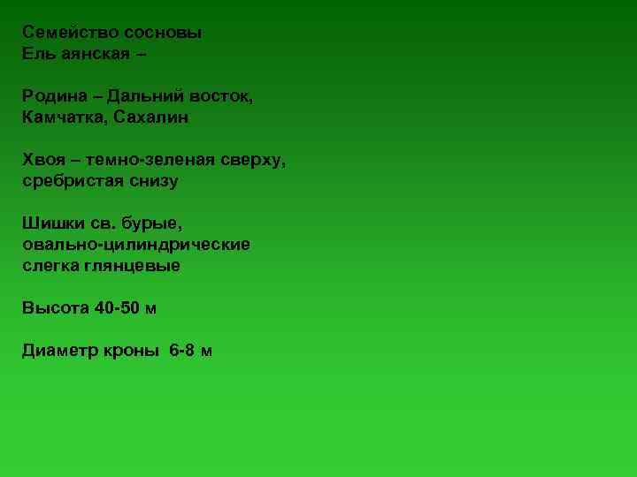 Семейство сосновы Ель аянская – Родина – Дальний восток, Камчатка, Сахалин Хвоя – темно-зеленая