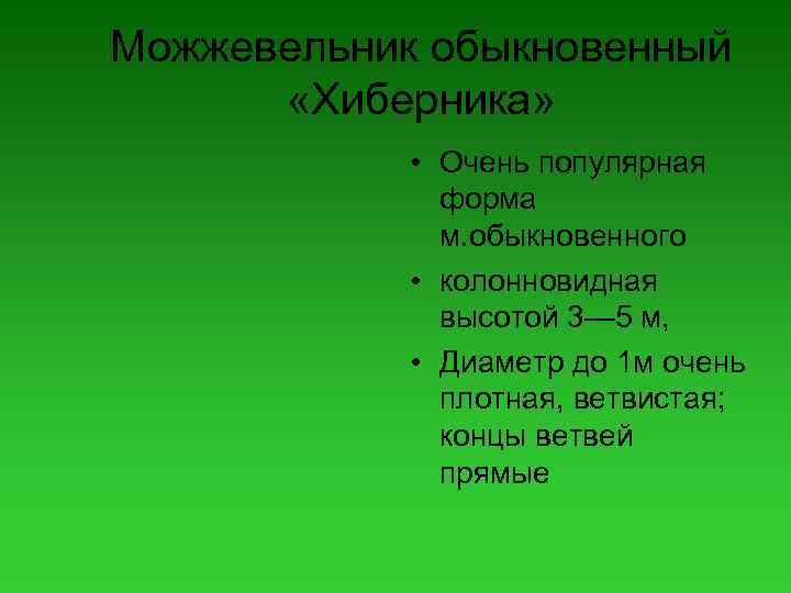 Можжевельник обыкновенный «Хиберника» • Очень популярная форма м. обыкновенного • колонновидная высотой 3— 5