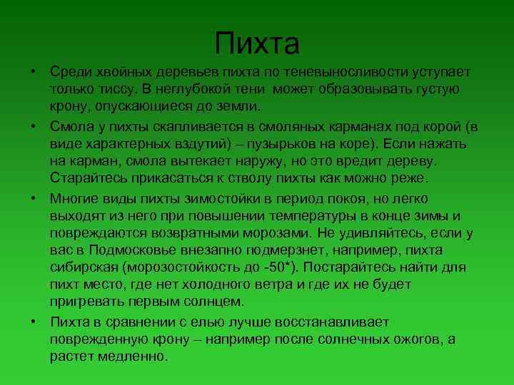 Пихта • Среди хвойных деревьев пихта по теневыносливости уступает только тиссу. В неглубокой тени