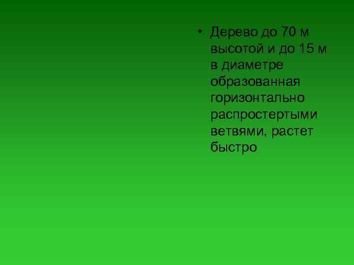  • Дерево до 70 м выcотой и до 15 м в диаметре образованная