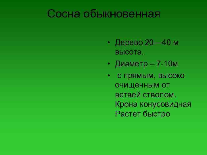 Сосна обыкновенная • Дерево 20— 40 м выcота, • Диаметр – 7 -10 м