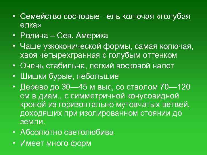  • Семейство сосновые - ель колючая «голубая елка» • Родина – Сев. Америка