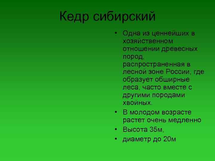 Кедр сибирский • Одна из ценнейших в хозяйственном отношении древесных пород, распространенная в лесной