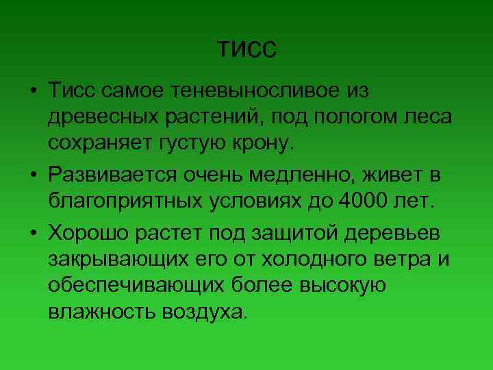 тисс • Тисс самое теневыносливое из древесных растений, под пологом леса сохраняет густую крону.