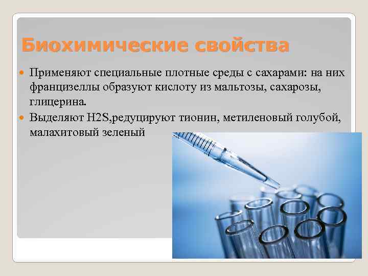 Биохимические свойства Применяют специальные плотные среды с сахарами: на них францизеллы образуют кислоту из