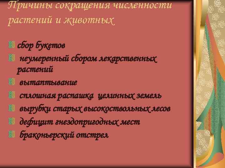 Причины сокращения численности растений и животных сбор букетов неумеренный сбором лекарственных растений вытаптывание сплошная