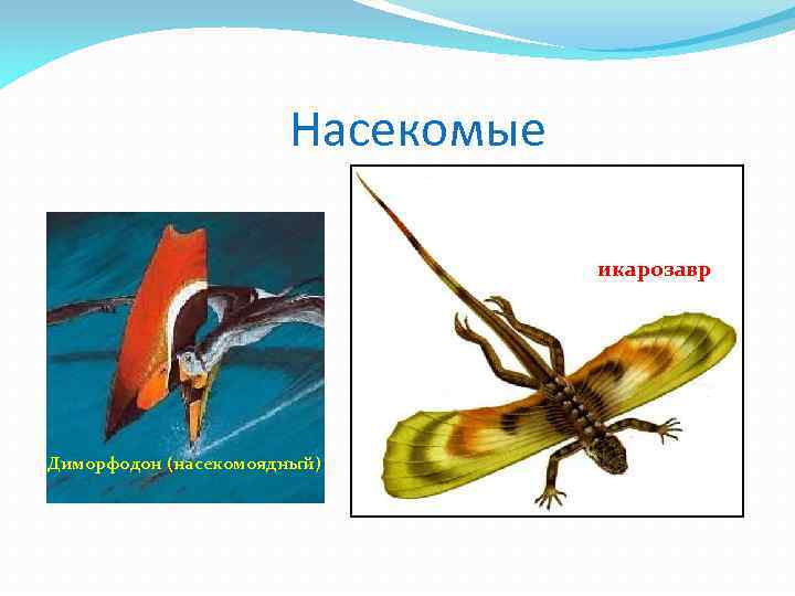 Насекомые икарозавр Диморфодон (насекомоядный) 