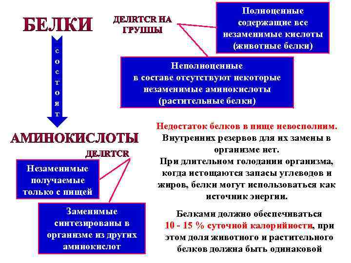 с о с т о я т Полноценные содержащие все незаменимые кислоты (животные белки)