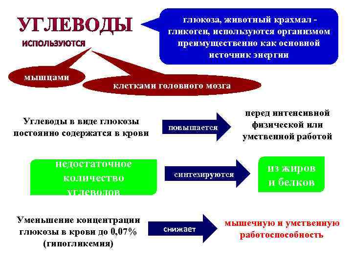глюкоза, животный крахмал гликоген, используются организмом преимущественно как основной источник энергии мышцами клетками головного