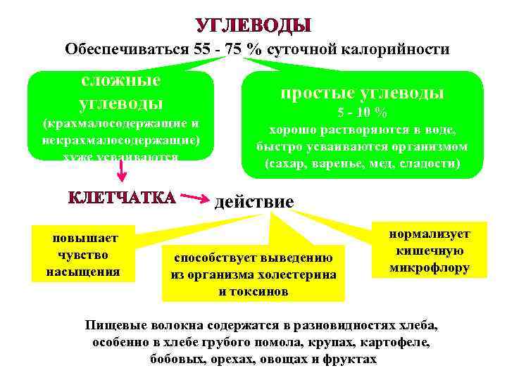 Обеспечиваться 55 - 75 % суточной калорийности сложные углеводы простые углеводы (крахмалосодержащие и некрахмалосодержащие)
