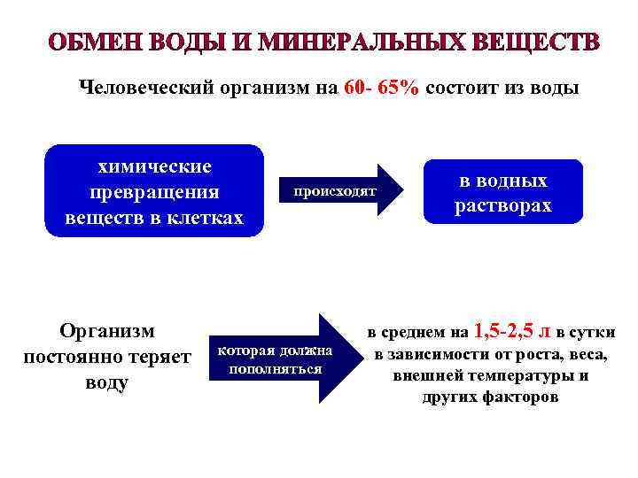 Человеческий организм на 60 - 65% состоит из воды химические превращения веществ в клетках