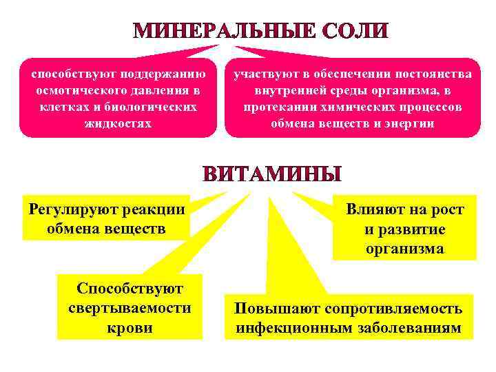 способствуют поддержанию осмотического давления в клетках и биологических жидкостях Регулируют реакции обмена веществ Способствуют