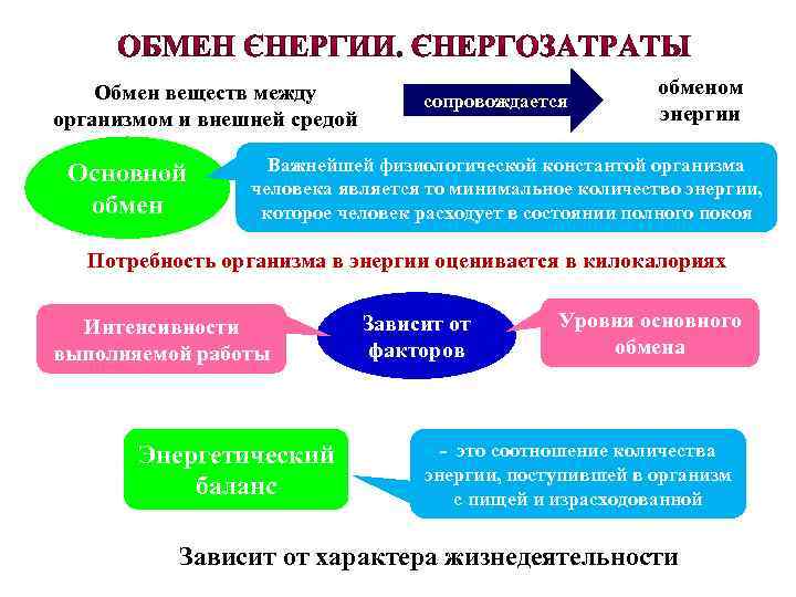 Значение обмена веществ. Обмен веществ и энергии организма с внешней средой.. Обмен веществ между организмом и внешней средой. Обмен веществ внешняя среда. Обмен веществом и энергией между организмом и внешней средой это.