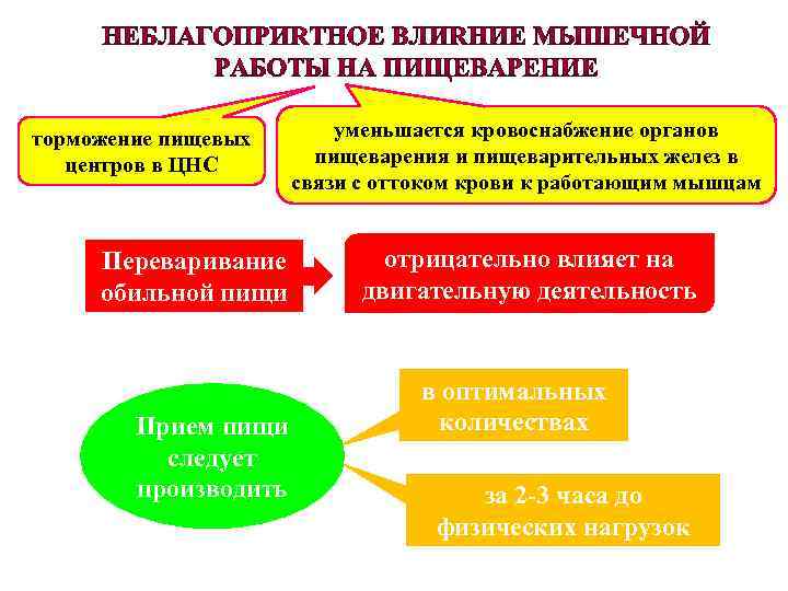 торможение пищевых центров в ЦНС Переваривание обильной пищи Прием пищи следует производить уменьшается кровоснабжение