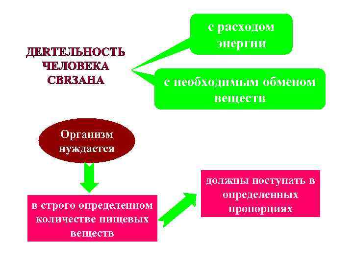 с расходом энергии с необходимым обменом веществ Организм нуждается в строго определенном количестве пищевых
