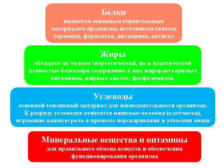 Белки являются основным строительным материалом организма, источником синтеза гормонов, ферментов, витаминов, антител Жиры обладают