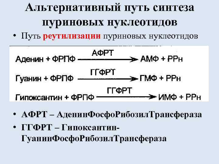 Альтернативный путь синтеза пуриновых нуклеотидов • Путь реутилизации пуриновых нуклеотидов • АФРТ – Аденин.