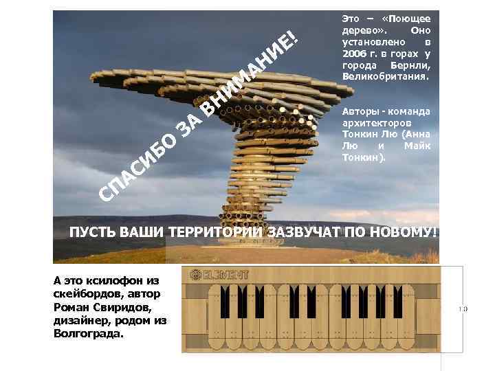 М А БО СИ А ЗА НИ В Е! НИ Это – «Поющее дерево»