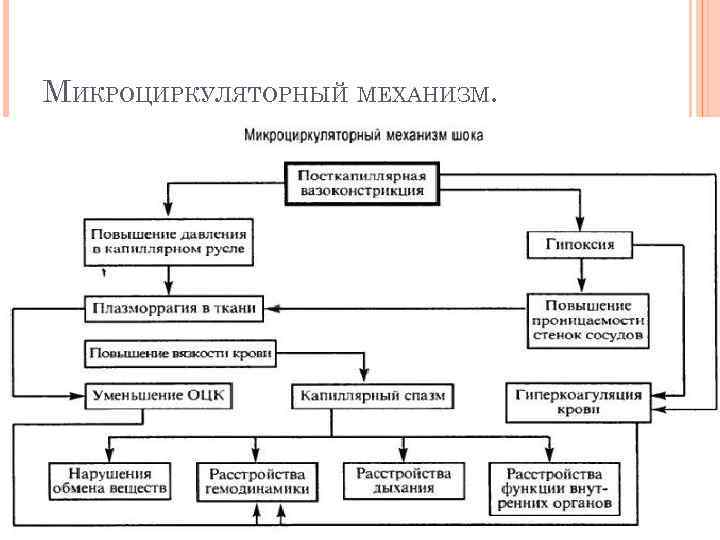 МИКРОЦИРКУЛЯТОРНЫЙ МЕХАНИЗМ. 