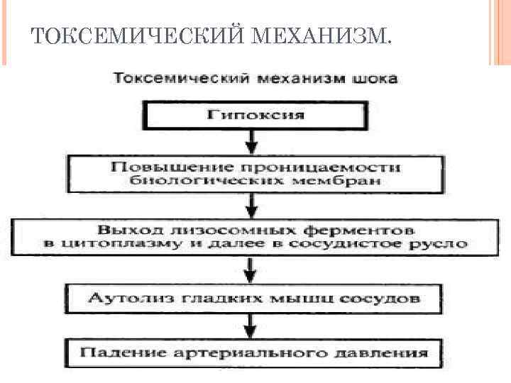 ТОКСЕМИЧЕСКИЙ МЕХАНИЗМ. 