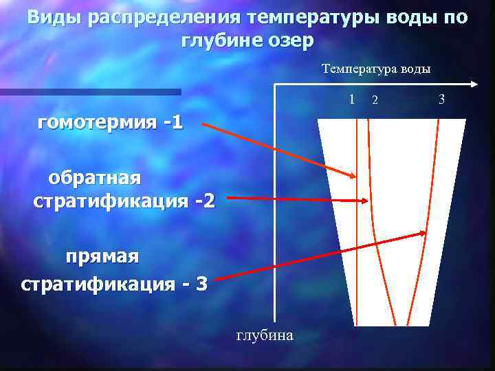 Виды распределения температуры воды по глубине озер Температура воды 1 гомотермия -1 обратная стратификация