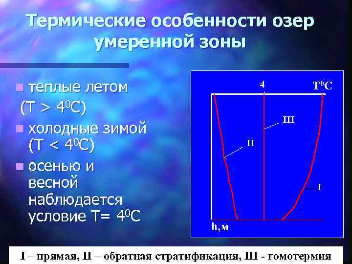 Термические особенности озер умеренной зоны n теплые летом (T > 40 C) n холодные