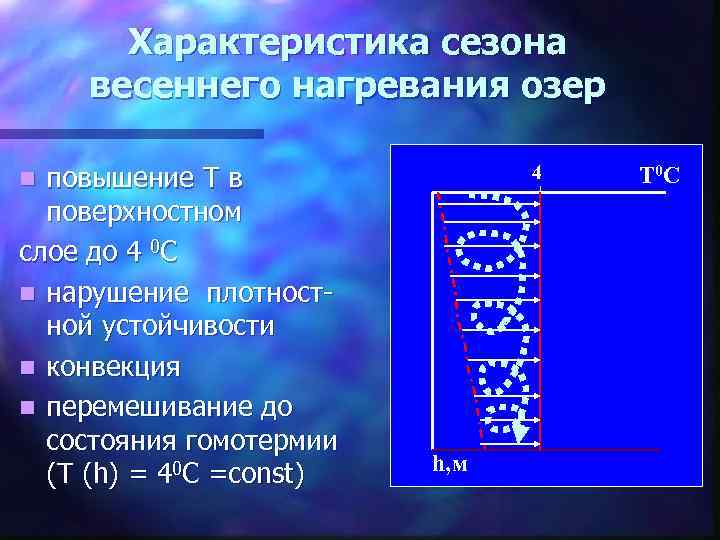 Характеристика сезона весеннего нагревания озер повышение Т в поверхностном слое до 4 0 C