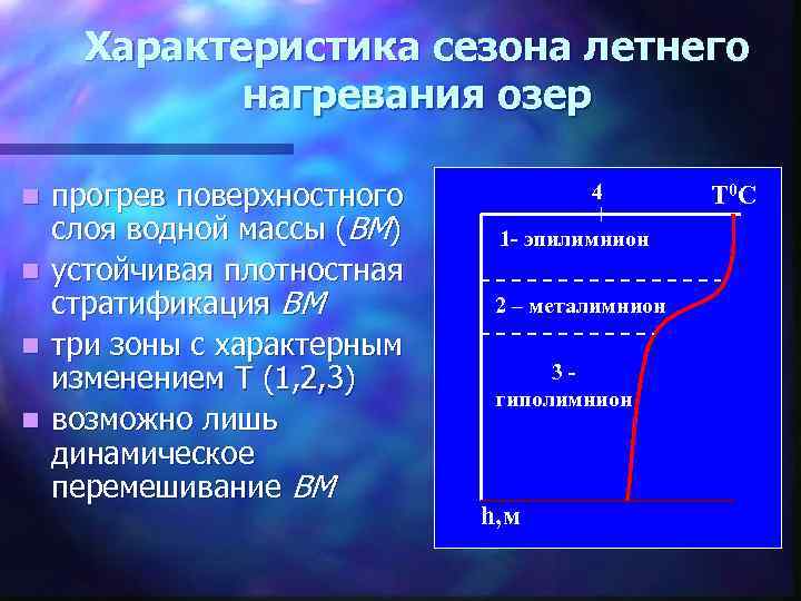 Характеристика сезона летнего нагревания озер n n прогрев поверхностного слоя водной массы (ВМ) устойчивая