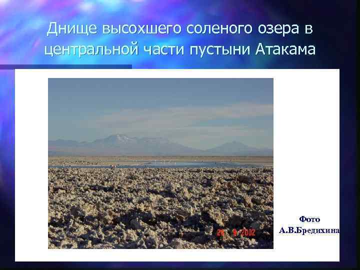 Днище высохшего соленого озера в центральной части пустыни Атакама Фото А. В. Бредихина 