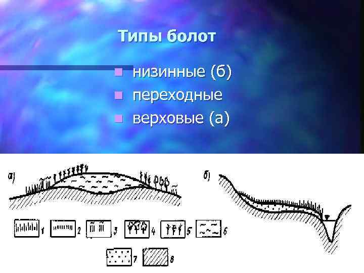 Типы болот низинные (б) n переходные n верховые (а) n 