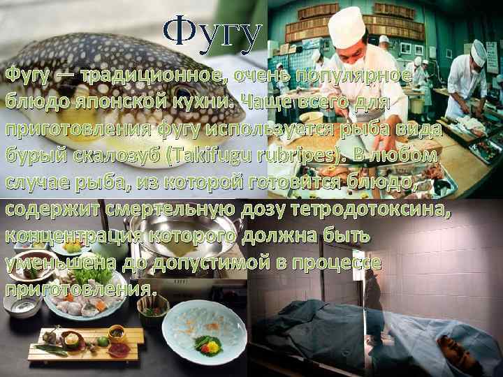 Фугу — традиционное, очень популярное блюдо японской кухни. Чаще всего для приготовления фугу используется