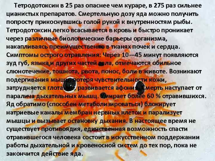 Тетродотоксин в 25 раз опаснее чем кураре, в 275 раз сильнее цианистых препаратов. Смертельную