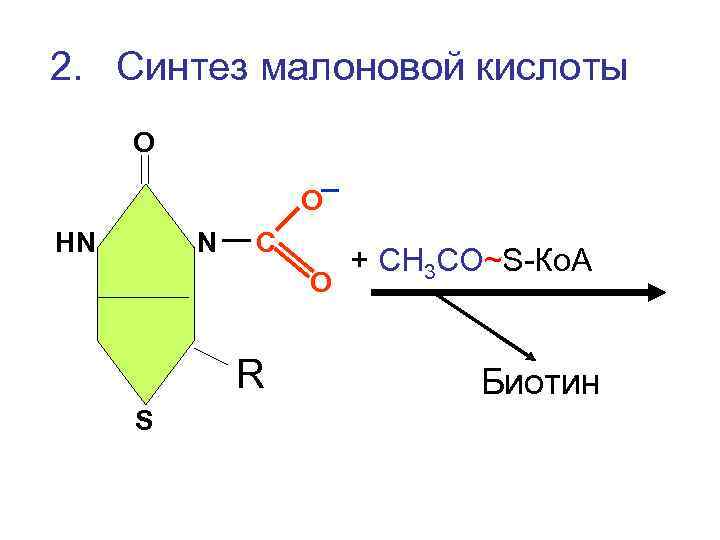 2. Синтез малоновой кислоты О О НN N С О R S + СН