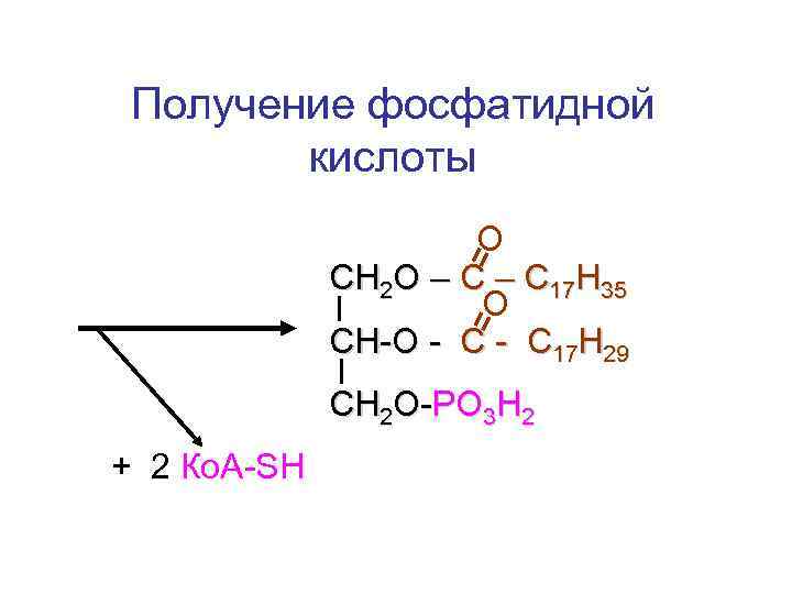 Состав фосфатидной кислоты отражается схемой