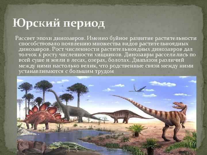 Юрский период мезозойской эры. Мезозойская Эра рассвет динозавров.
