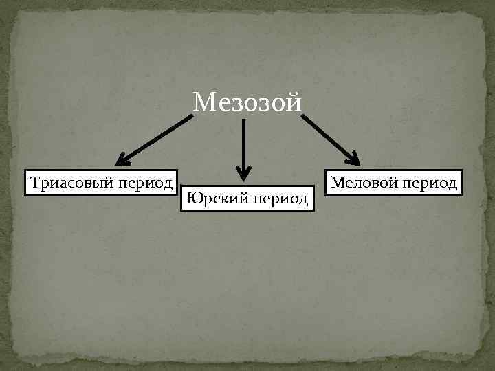 Мезозой Триасовый период Юрский период Меловой период 