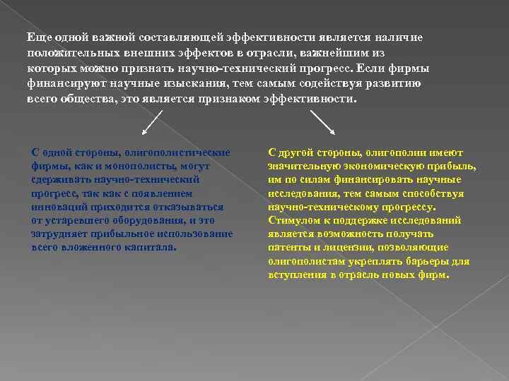 Еще одной важной составляющей эффективности является наличие положительных внешних эффектов в отрасли, важнейшим из