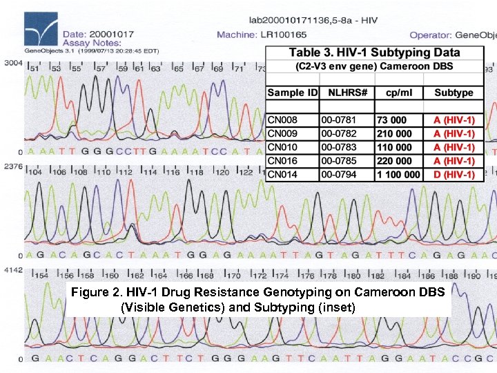 Figure 2. HIV-1 Drug Resistance Genotyping on Cameroon DBS (Visible Genetics) and Subtyping (inset)