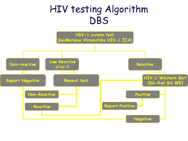 HIV testing Algorithm DBS HIV-1 screen test (bio. Merieux Vironostika HIV-1 EIA) Non-reactive Low