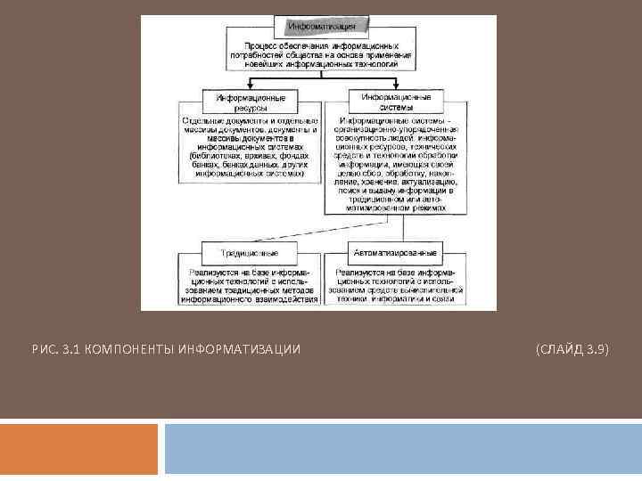 РИС. 3. 1 КОМПОНЕНТЫ ИНФОРМАТИЗАЦИИ (СЛАЙД 3. 9) 