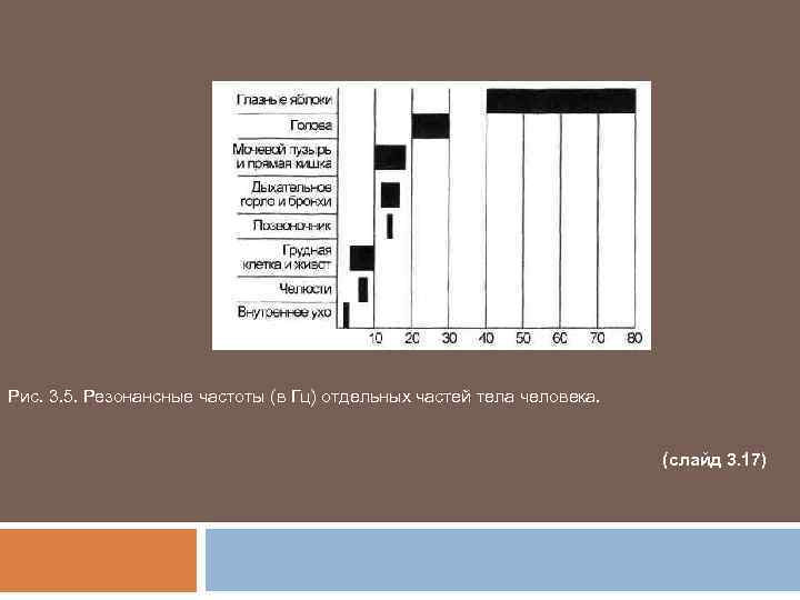 Рис. 3. 5. Резонансные частоты (в Гц) отдельных частей тела человека. (слайд 3. 17)