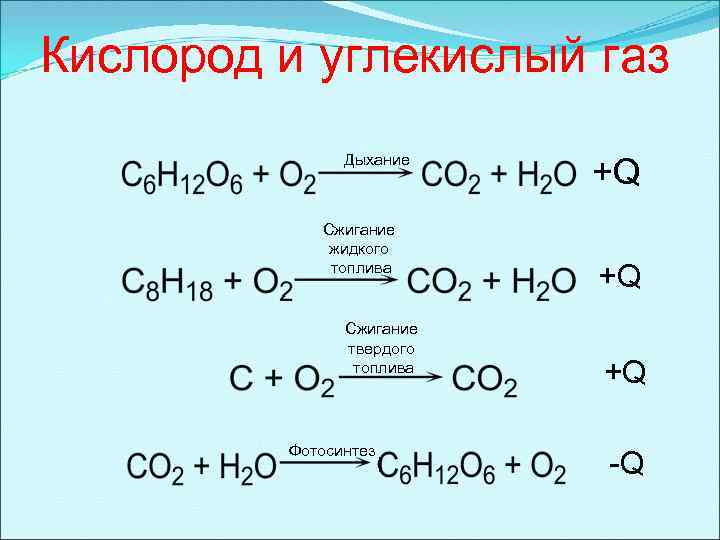 Кислород и углекислый газ Дыхание Сжигание жидкого топлива Сжигание твердого топлива Фотосинтез +Q +Q