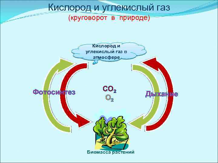 Схема вода и углекислый газ