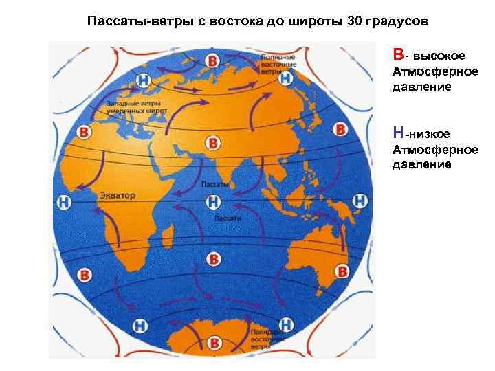 Пассаты-ветры с востока до широты 30 градусов В- высокое Атмосферное давление Н-низкое Атмосферное давление