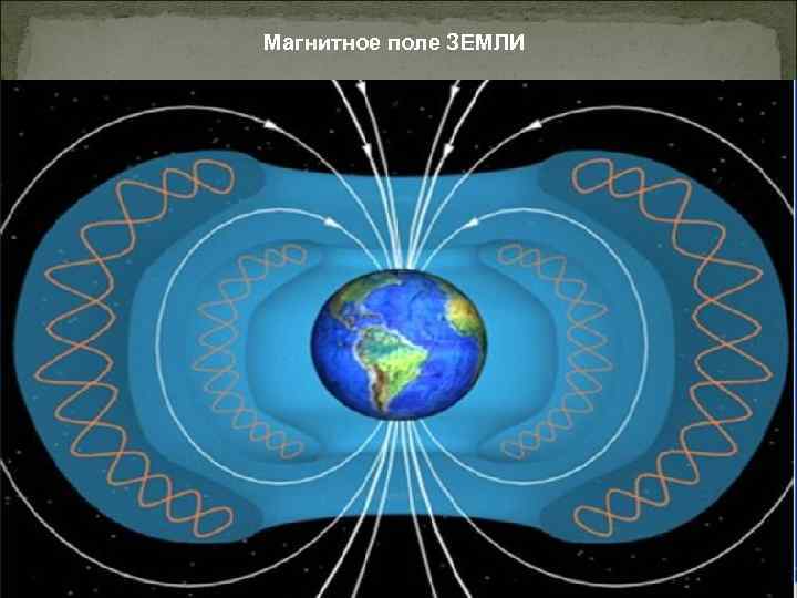 Магнитное поле ЗЕМЛИ 