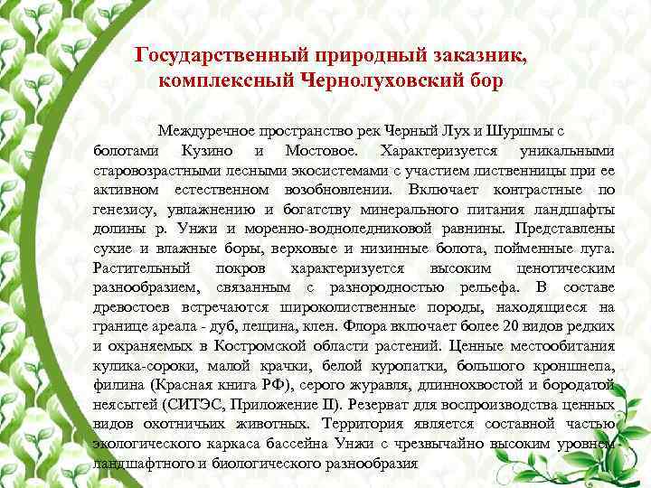 Государственный природный заказник, комплексный Чернолуховский бор Междуречное пространство рек Черный Лух и Шуршмы с