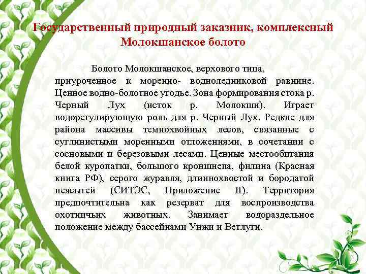 Государственный природный заказник, комплексный Молокшанское болото Болото Молокшанское, верхового типа, приуроченное к моренно- водноледниковой
