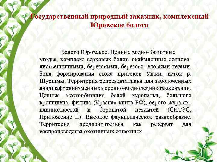 Государственный природный заказник, комплексный Юровское болото Болото Юровское. Ценные водно- болотные угодья, комплекс верховых