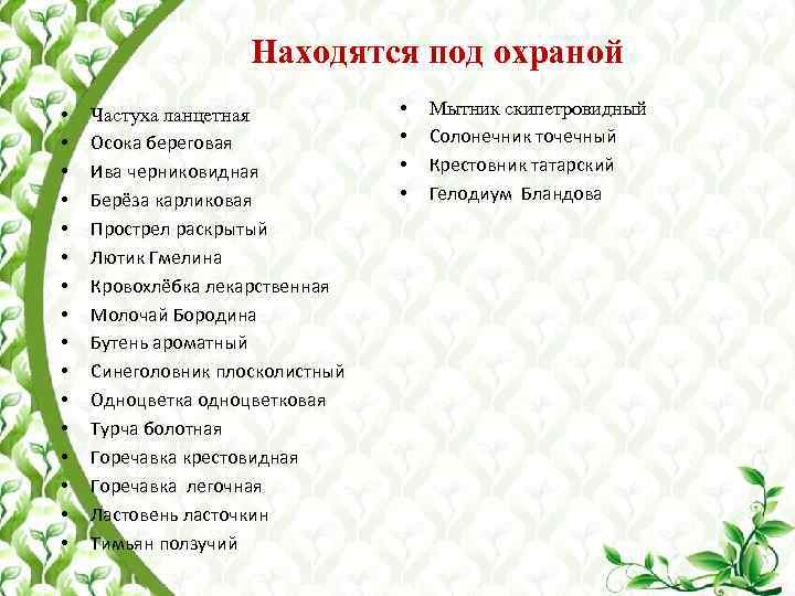 Находятся под охраной • • • • Частуха ланцетная Осока береговая Ива черниковидная Берёза