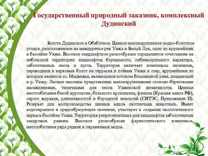 Государственный природный заказник, комплексный Дудинский Болота Дудинское и Обабочное. Ценное малонарушенное водно-болотное угодье, расположенное